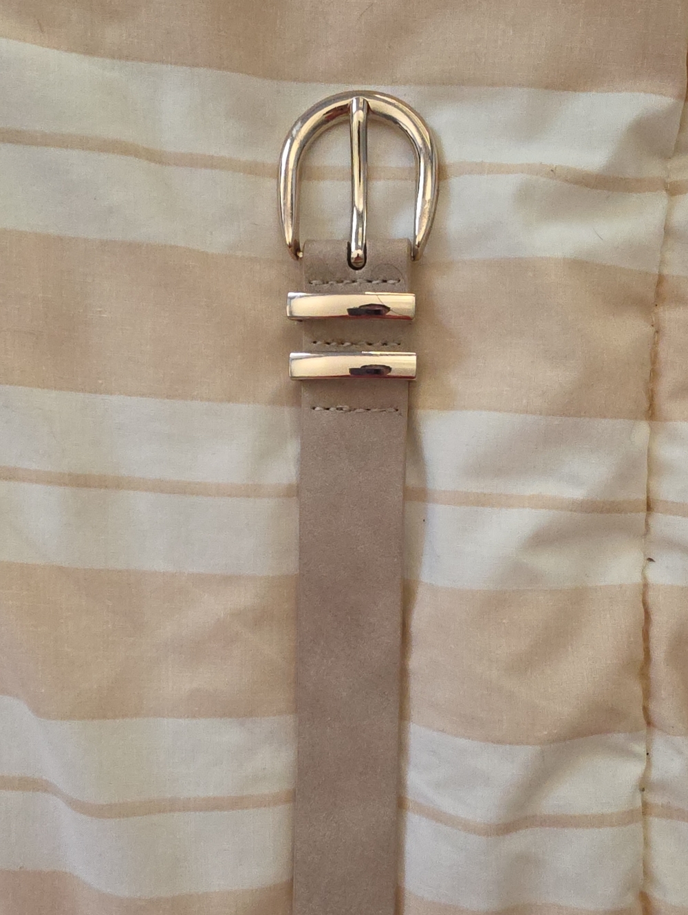 Neutral Belt with Silver Buckle